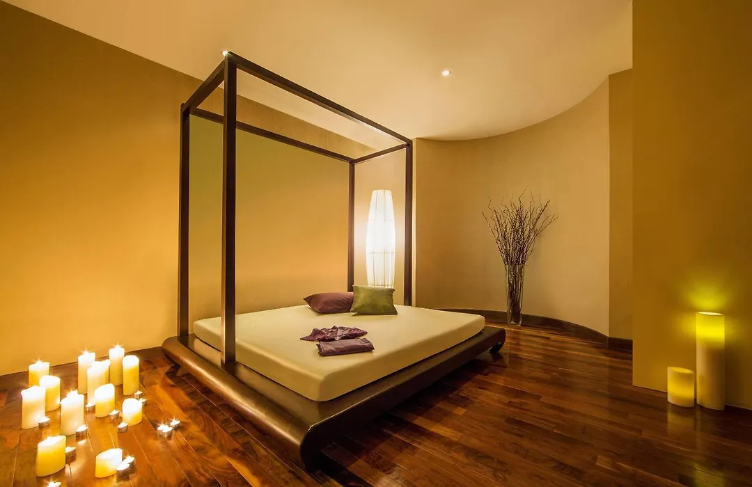 Melia Desert Palm Member Of Melia Collection-1