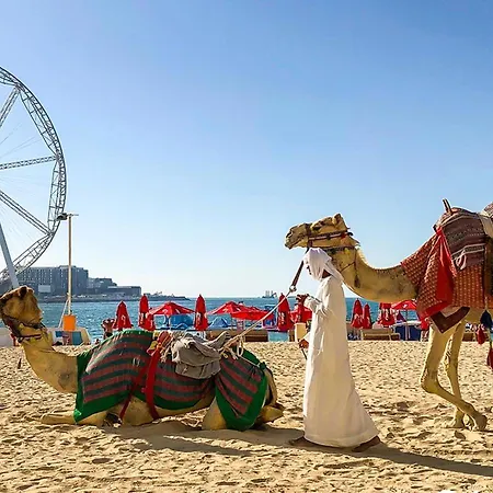 Al Bateen Resdences By Happy Season Jbr-2